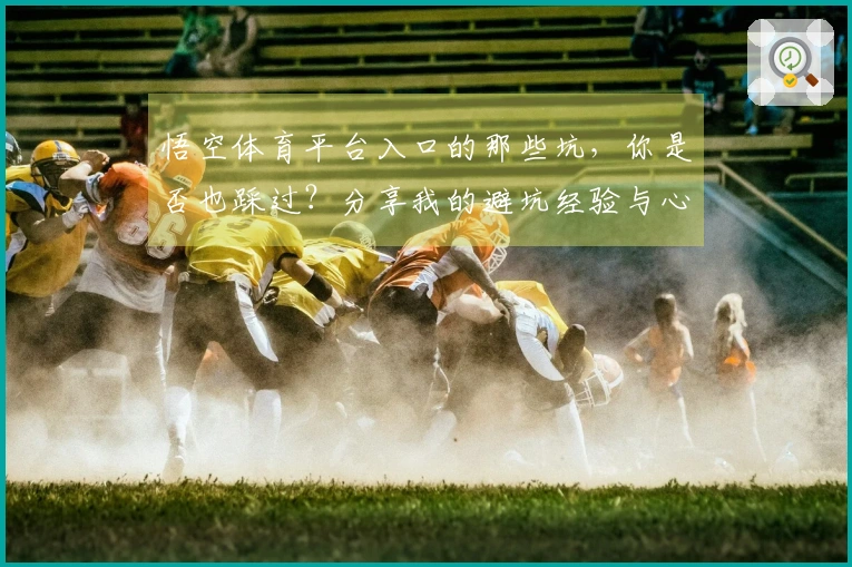 悟空体育平台入口的那些坑，你是否也踩过？分享我的避坑经验与心得！