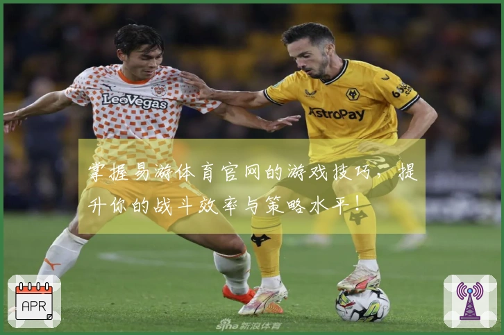 掌握易游体育官网的游戏技巧，提升你的战斗效率与策略水平！